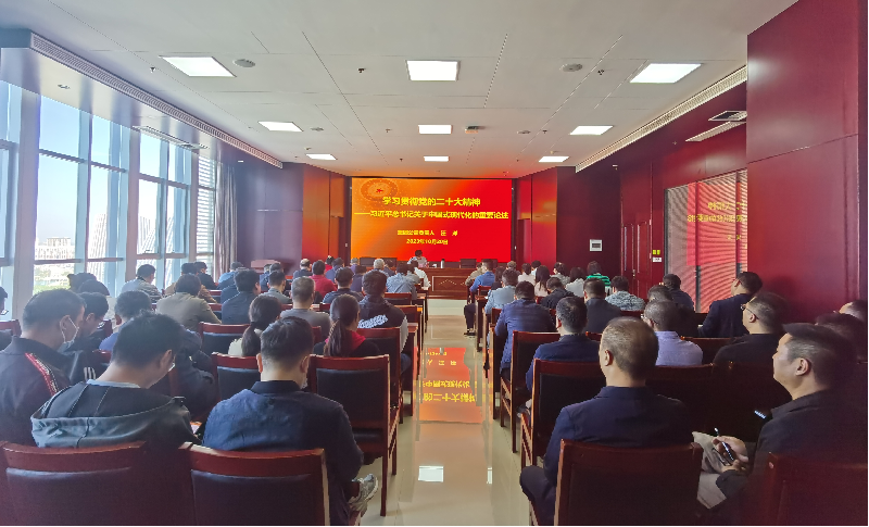 紧跟核心强忠诚 在深学细悟中坚定信仰信念 ——华体会体育（hth)官方网站 -在线娱乐入口- HTH SPORTS
负责人汪洋同志为全体党员讲授主题教育专题党课